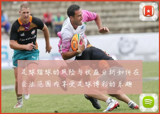 足球赌球的风险与收益分析如何在合法范围内享受足球博彩的乐趣