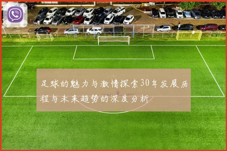 足球的魅力与激情探索30年发展历程与未来趋势的深度分析