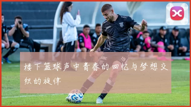 楼下篮球声中青春的回忆与梦想交织的旋律